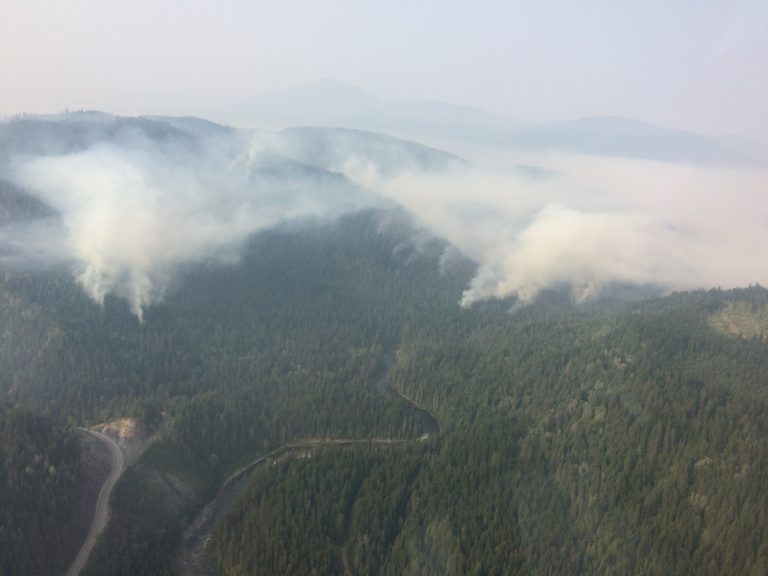 McCormick Creek wildfire now 50% contained