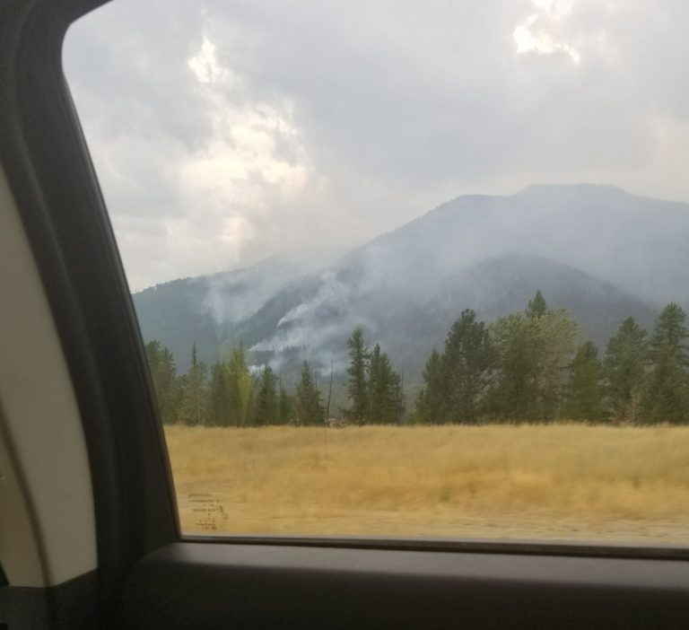 Rain helps, but fire season has long way to go