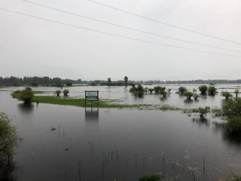 Flooding in Summit Creek area