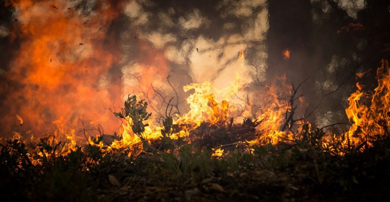 Area C residents invited to shape fire mitigation