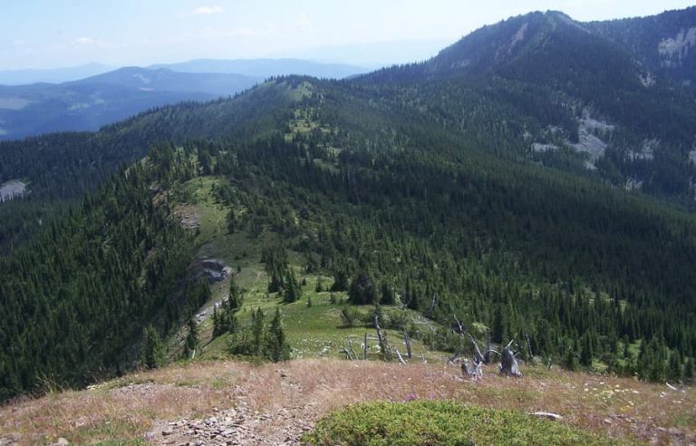 Creston Valley Forest Corporation awarded nearly $1.25-million for environmental work