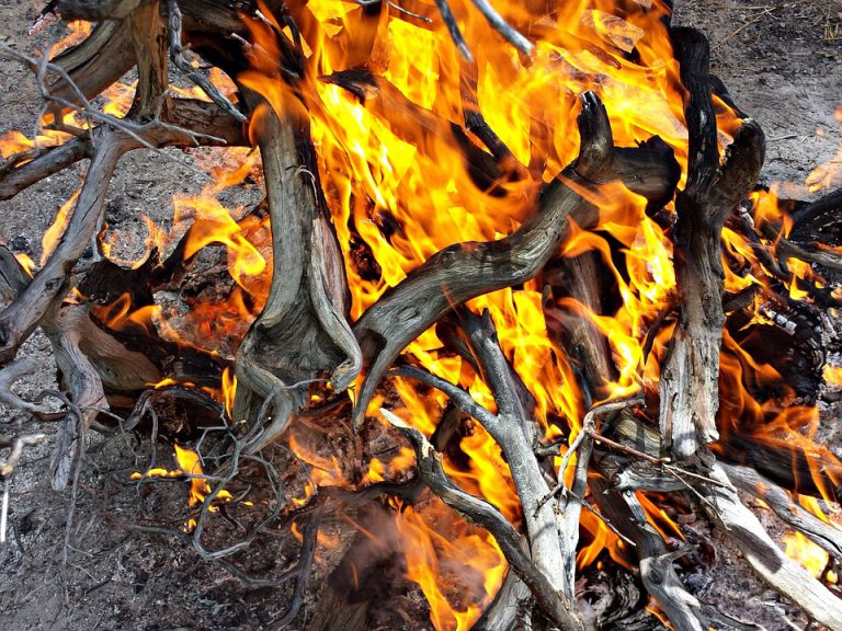 Campfires make a comeback