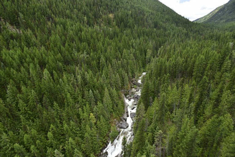 Next Creek watershed added to Darkwoods Conservation Area