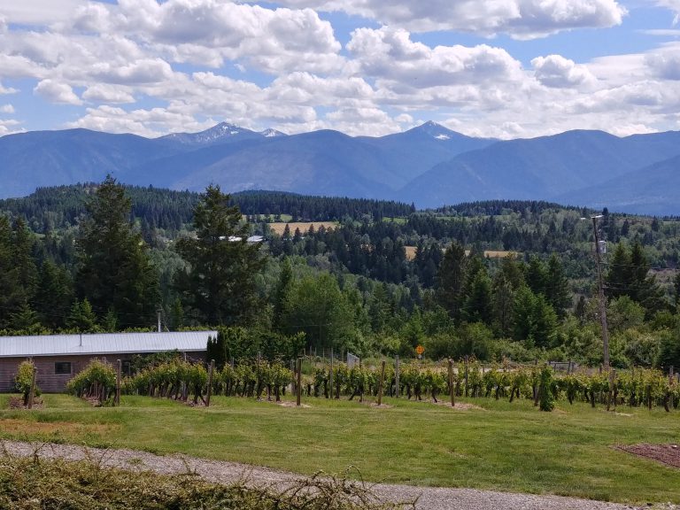 B.C. Government providing $14-million in Rural Community Development Grants