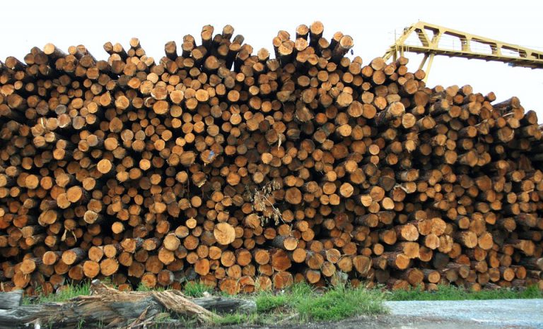 New program to guarantee timber supply for B.C. wood manufacturers