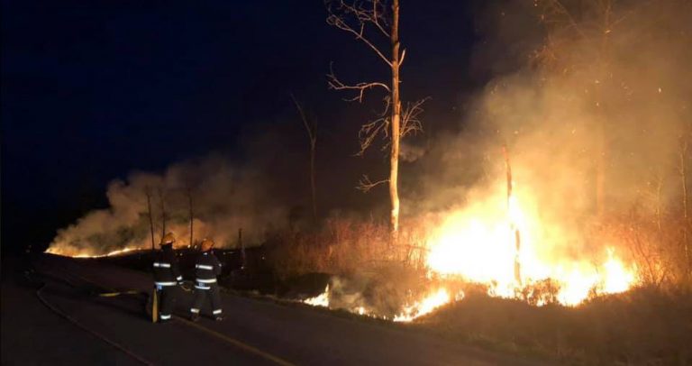Nick’s Island Bush Fires Draw Suspicion From Local Fire Departments