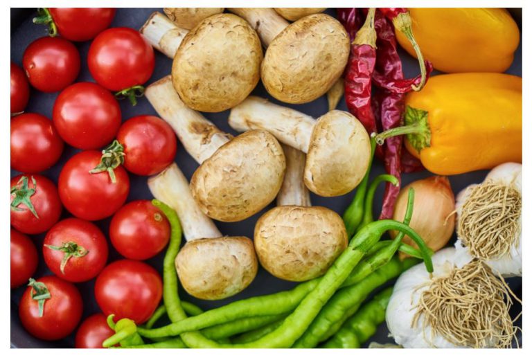Agri-Food Industry to Receive Federal Support for Migrant Workers