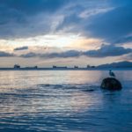 Vancouver Pacific Ocean Ships Freight Landscape Stock – Pixabay