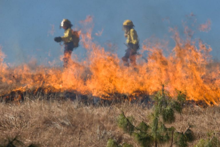 Sizeable decrease in area burned this year