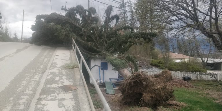 Windstorm rips down Kootenay Lake blasting Creston Valley