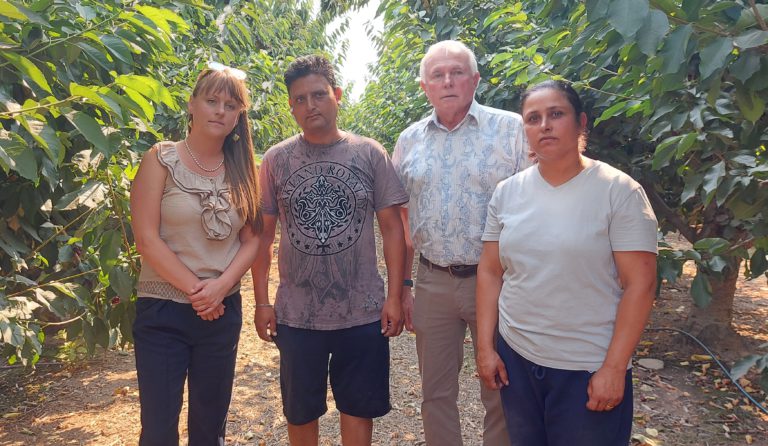 Many Creston Valley crops fail in record-breaking heat