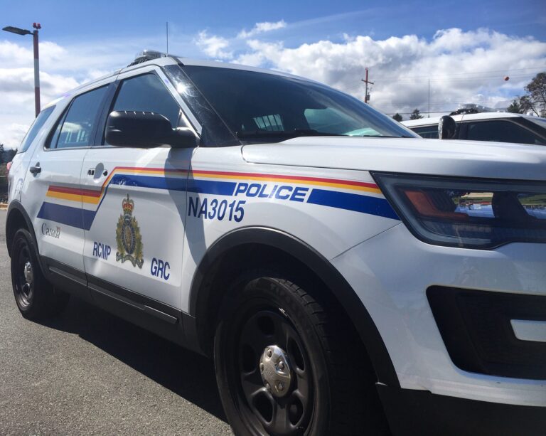 Creston RCMP say no immediate concern over public safety following firearm theft