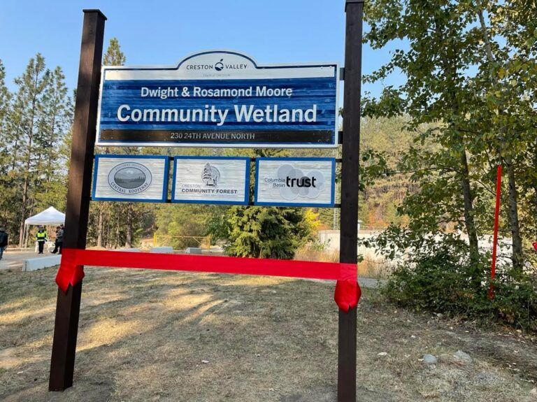 Dwight and Rosamond Moore Community Wetland park opens