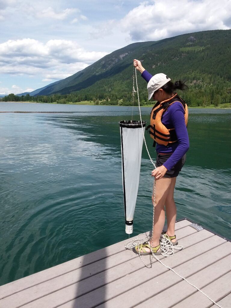 West Kootenay water bodies still free of invasive mussels