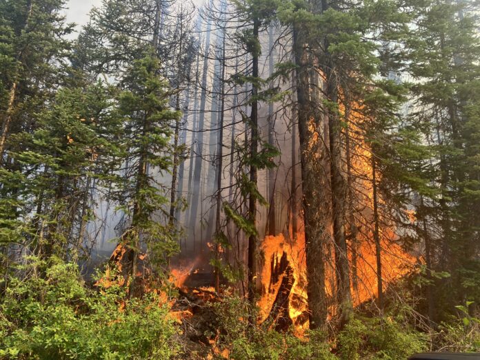 Category 3 burn ban coming for Southeast Fire District