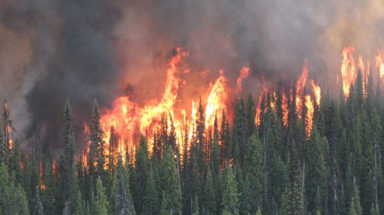 New measures ahead of summer wildfire season
