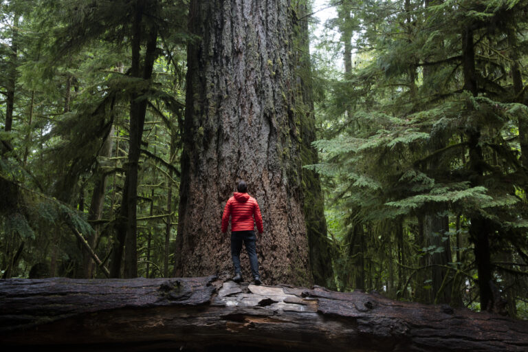 Destination BC seeking industry input on sustainability and climate preparedness