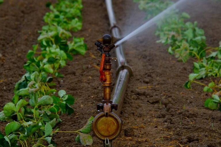 Town of Creston enters into Stage 1 water conservation measures
