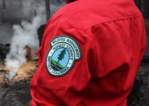 Nine Kootenay-based projects get forest management funding