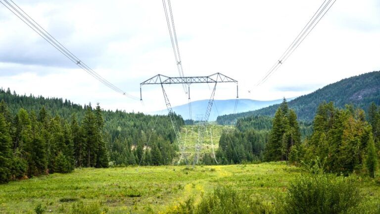 FILE - Power line in B.C.
